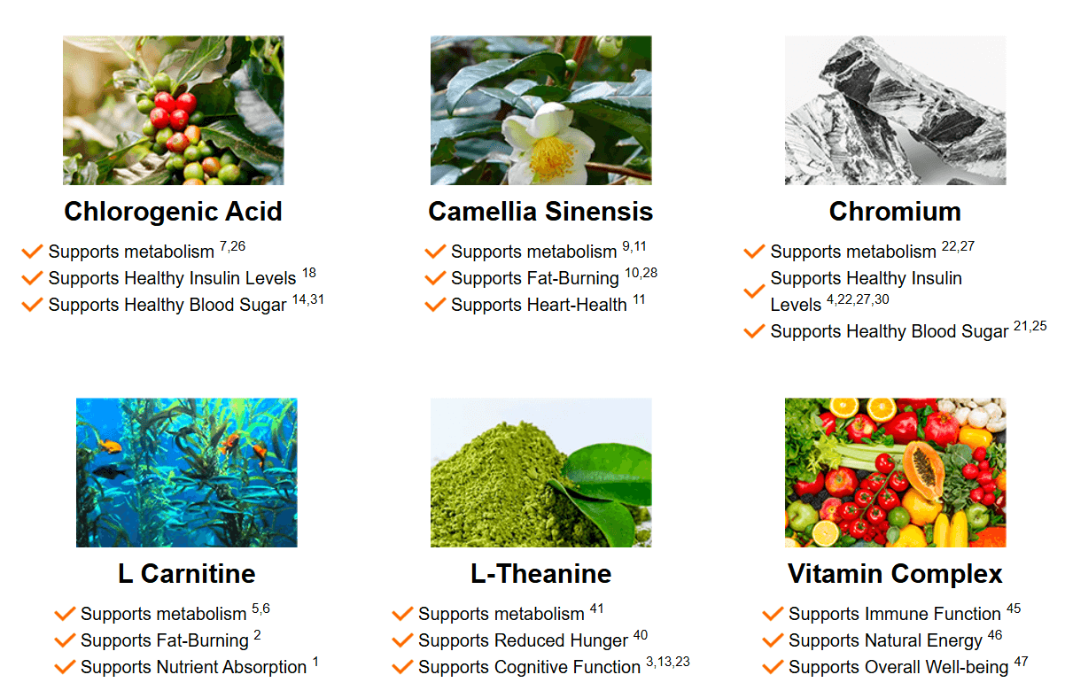 java burn ingredients